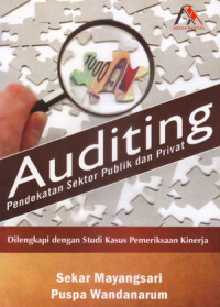 Auditing : Pendekatan Sektor Publik dan Privat